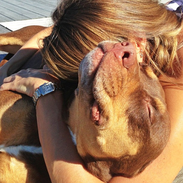 Brava eu Gisele Bündchen faz declaração de amor à sua pitbull Lua