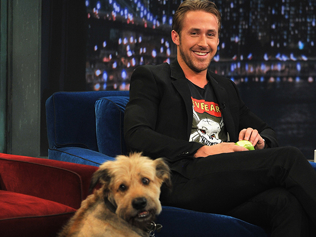Ryan Gosling e seu cão George no "Late Night With Jimmy Fallon"