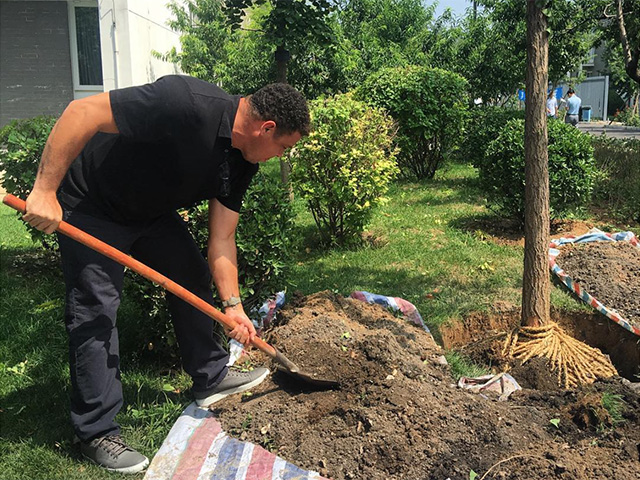 Ronaldo ataca de jardineiro e planta árvore em escola na China