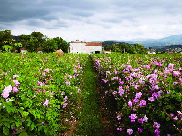 A fazenda da família Mul, em Grasse, na França