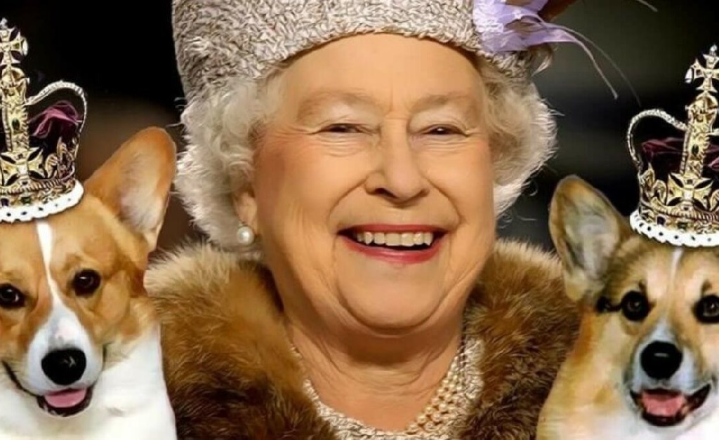 A rainha cria cachorros da raça desde a adolescência