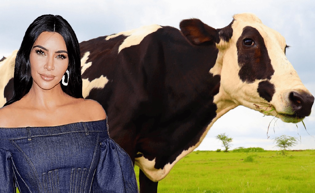 Kim Kardashian e Kimberly Kowdashian
